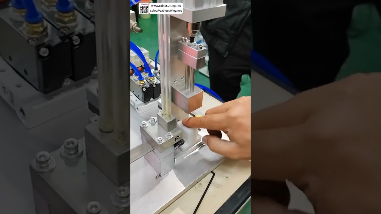 Magnetic Core Assembly Machine  Universal Automatic Press Fit for Various Magnets Processing