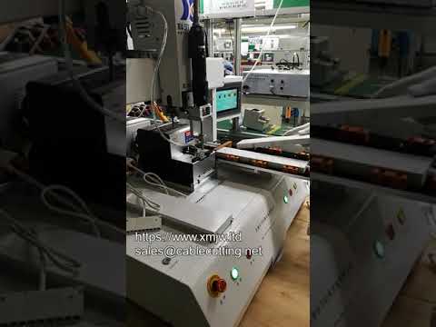 Máquina Automática de Rosqueamento de Mesa com Alta Precisão - Estação Múltipla para Dois Tipos de Parafusos