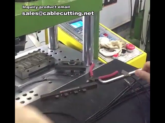 Máquina de Injeção para Conectores | Moldagem por Injeção | Injeção de Plástico para Cabeça de Maçã