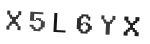 Verification Code Image